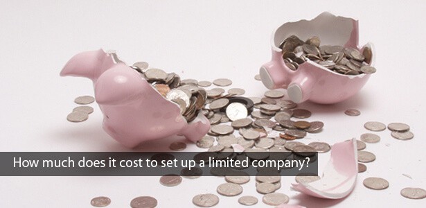 how much does it cost to set up a company