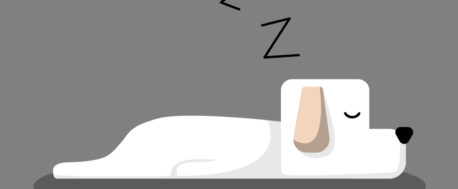 Vector image of white dog sleeping portraying the inactivity of a dormant company.