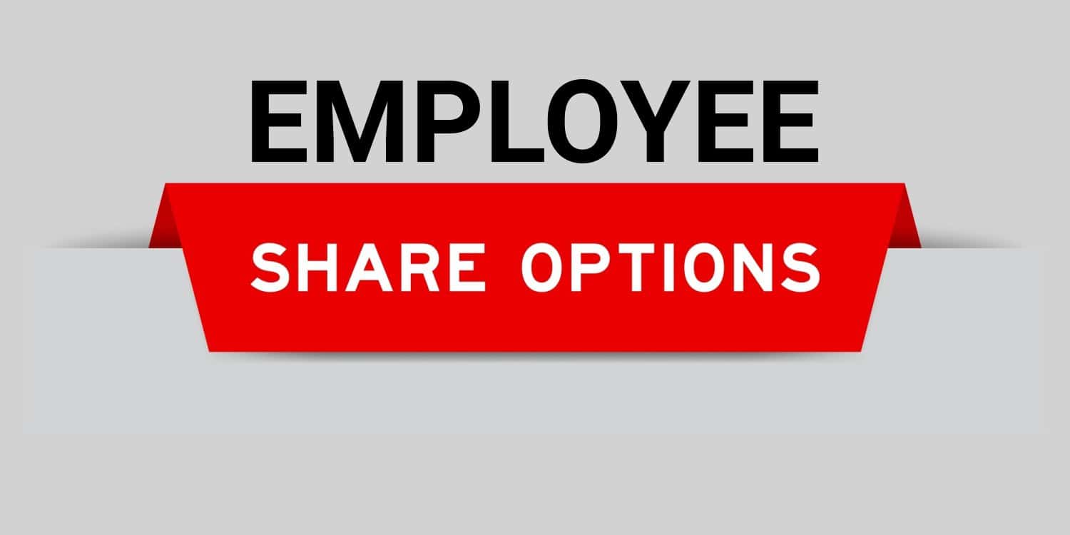 Headline of EMPLOYEE SHARE OPTIONS against a grey background.