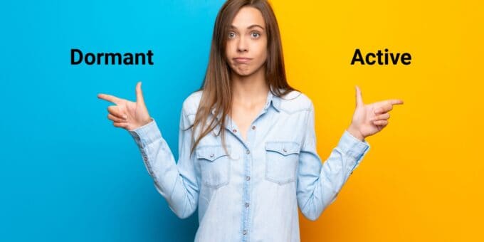 A woman in a blue shirt stands in front of a split blue and yellow background, pointing left towards "Dormant" and right to "Active"