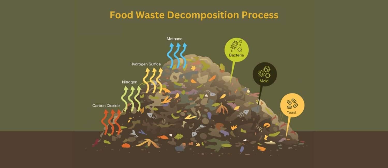 An illustration of the food waste decomposition process