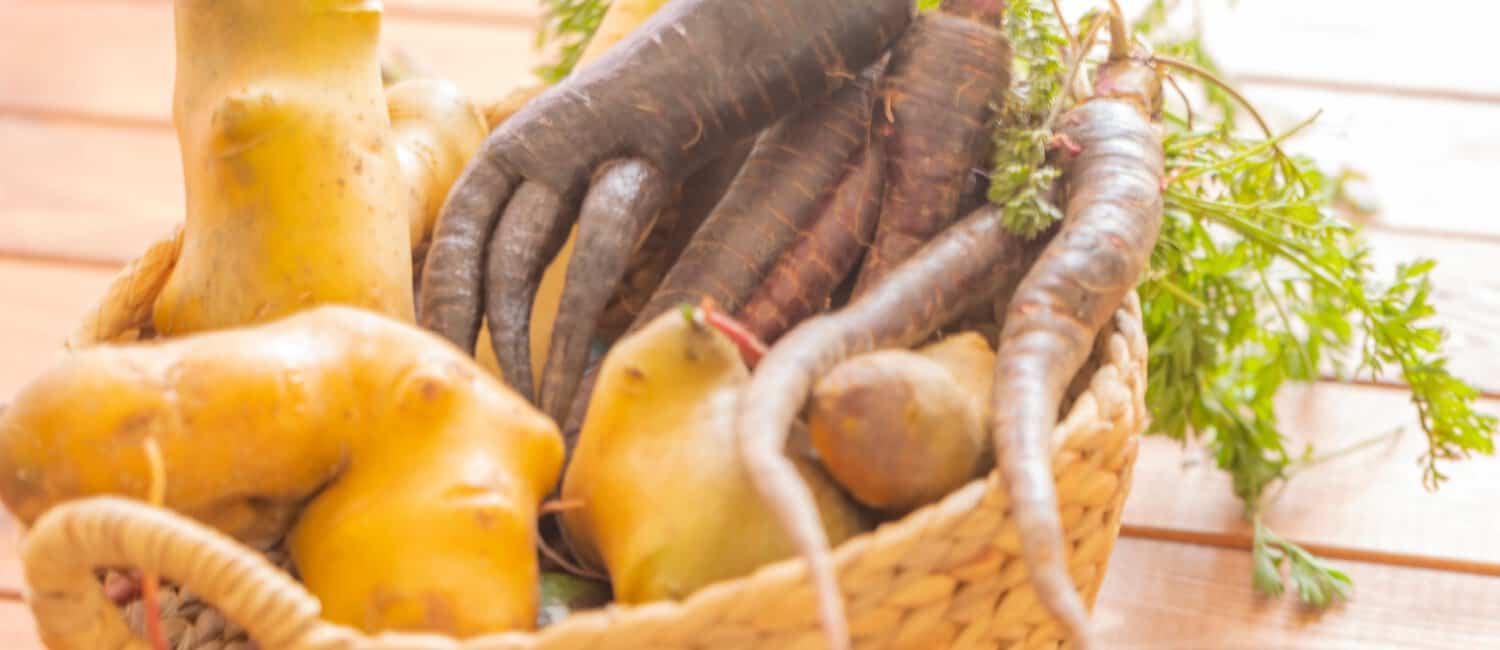 A selection of imperfect carrots and potatoes in a wicker basket, highlighting the importance of reducing food waste
